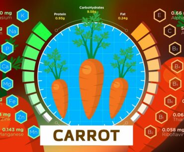 Carrots | Health Benefits and Nutrition Facts [Vitamins and Minerals]