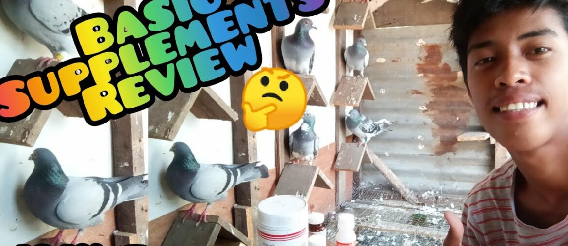 Basic Supplements Review | 101% Effective