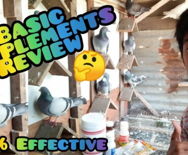 Basic Supplements Review | 101% Effective