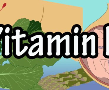 Vitamin K Per Day - Foods High In Vitamin K - Functions Of Vitamin K - Health Benefits Of Vitamin K