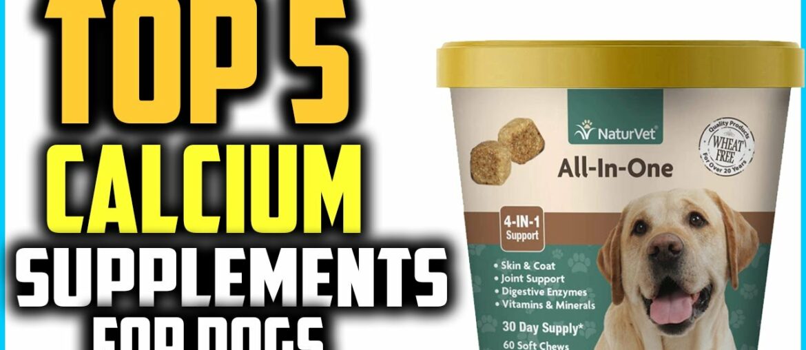 Top 5 Best Calcium Supplements for Dogs Review in 2020