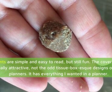 happyGree Best Allergy Immune Supplements for Dogs: Product of USA- Immune Support Anti Itch &...