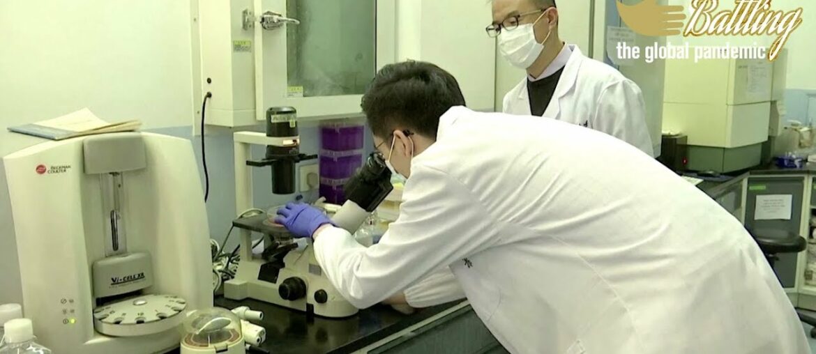 Chinese scientists find 'effective' antibodies for COVID-19