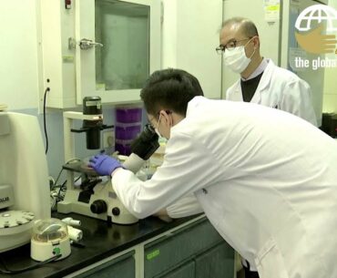 Chinese scientists find 'effective' antibodies for COVID-19