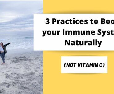 3 Things that Boost your Immune System (besides vitamin C) - Dietitian Talk