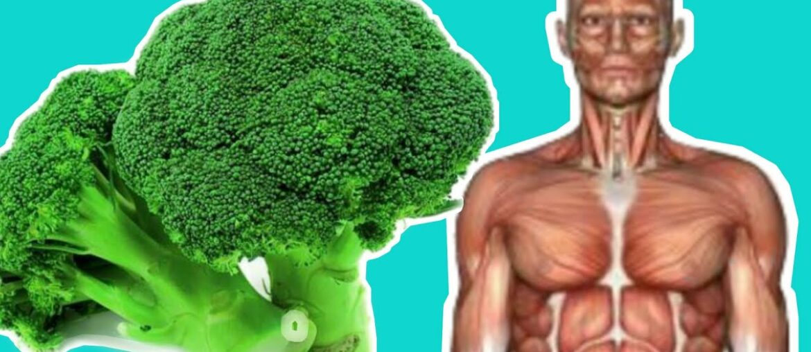 Eating Broccoli Every Day Will Do This To Your Body