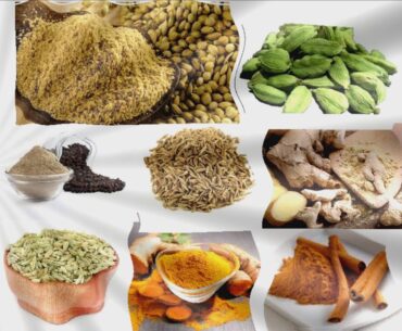 Immune System Boosters Supplements |  Home Made Supplements |