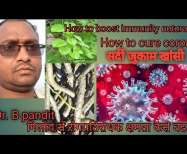 How to boost immunity.How to cure normal flu.giloy ke fayde.