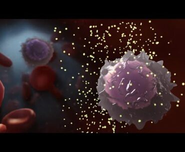 Medical Animation: HIV and AIDS