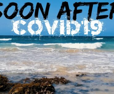 Soon after COVID-19 (Coronavirus) | vitamin sea