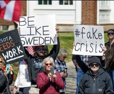 Julgran! D-vitamin! Var i naturen! EVMS's Covid-kostråd, Far-UV, Vetenskap och Folkbildning - VoF