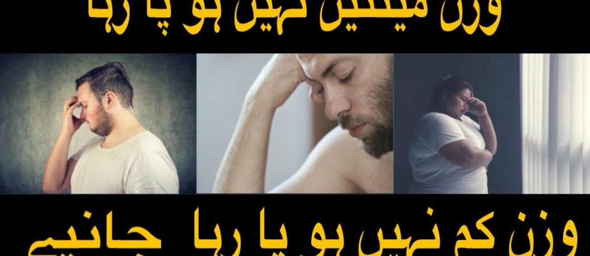 How to Lose Weight/fat Step by Step | Easy Weight Loss Tips How To Maintain Weight