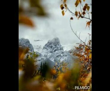 Covid-19 immune booster, healing energy