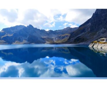 Title: Fight the Coronavirus by improving your immune system