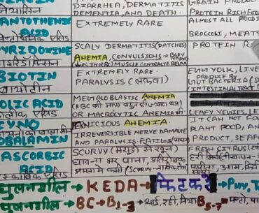 VITAMIN AND ITS IMPORTANT FACT