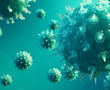 Excess Vitamin A levels may exacerbate symptoms of Coronavirus