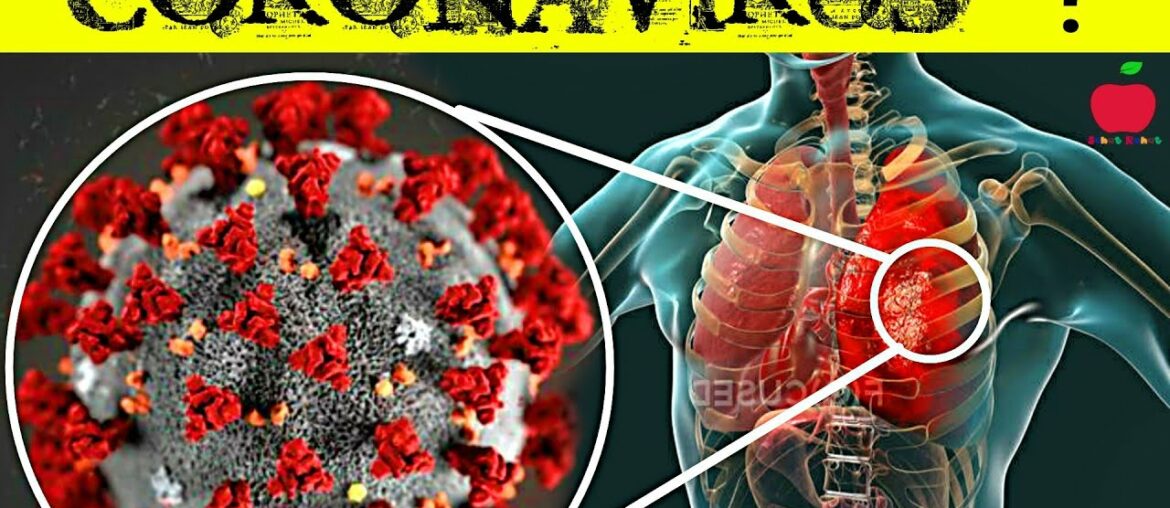 मोदी जी ने कहा है Coronavirus से बचने के लिए ये करे | Immunity Kaise Badaye Hindi