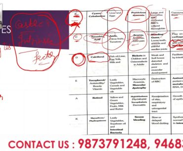 PART 2  / TYPES OF VITAMINS / DR.POONAM AHLAWAT / BIOZOOMS /  NEET CRASH COURSE