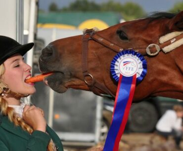 The amazing health benefits of carrots