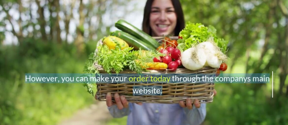 main function of the immune system - Immune Defence Review