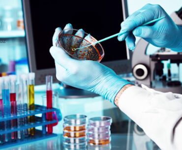 Alimlər bu vitaminin COVID-19-un gedişatını yüngülləşdirdiyini bildirir