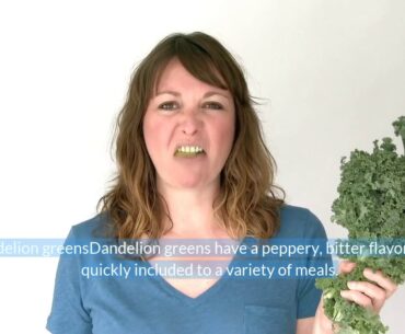 Kidney Disease Treatment At Home - Kidneys Wreck Problems, Treatment Solutions and Prevention