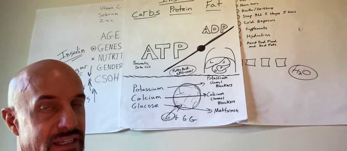 Coronavirus marathon Day 8 Part 3  - insulin and the immune system ... lots of work to do America!!!