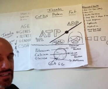 Coronavirus marathon Day 8 Part 3  - insulin and the immune system ... lots of work to do America!!!