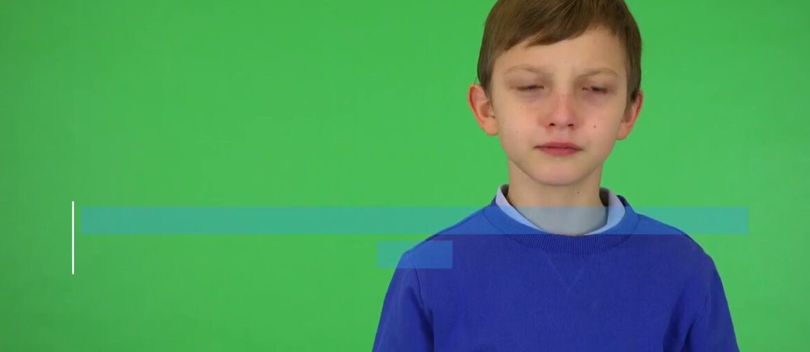 innate and adaptive immune system - Immune Defence Review