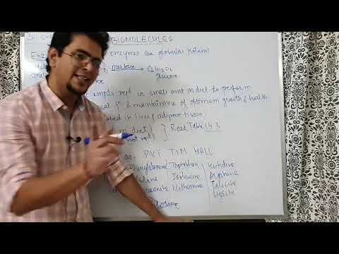 Biomolecules| chemistry : Revision: Enzymes, Vitamins, DNA and RNA