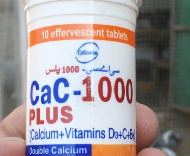 Calcium + Vitamins For Pigeons One Time a Week