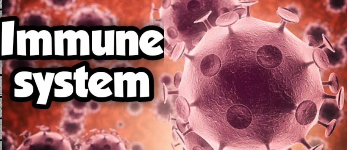 #Immune system  #Coronavirus # Information Need and working of immune system...