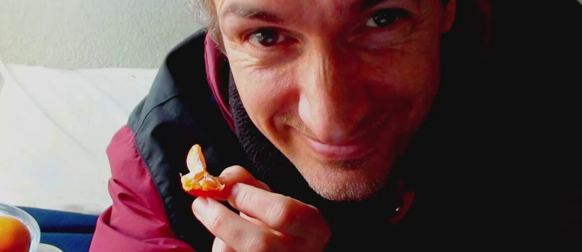 Fellow Carnivores, Where do you get your VITAMIN P ?  - to protect from COVID-19