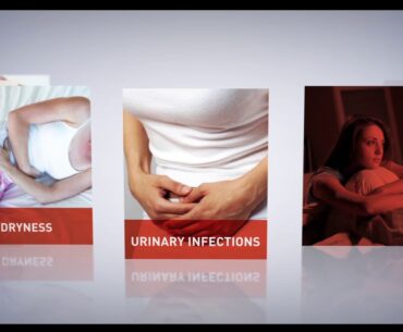 The Best Women's Supplement for Menstrual Cycle: From Periods to Menopause| Preserva Wellness