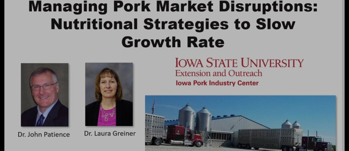 Nutritional Strategies to Managing Pork Market Disruptions Webinar
