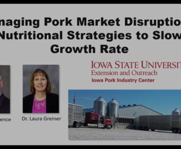 Nutritional Strategies to Managing Pork Market Disruptions Webinar