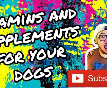 Vitamins and supplements for your dogs