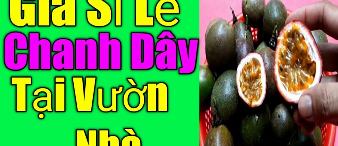 Cập Nhập Ngày 27/4/2020 Giá Sỉ Lẻ Chanh Dây Tại Vườn Nhà| Hoang tuan TV