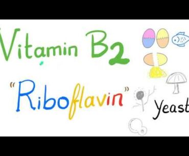 Riboflavin (Vitamin B2) 🥚 🐟 🍄