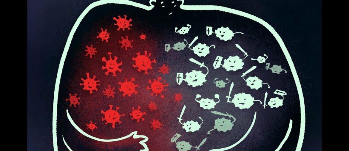 KT The Arch Degree- The Coronavirus vs The Human Immune System: The Microscopic War Inside Your Body