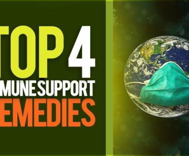 Top 4 Immune Support Supplements