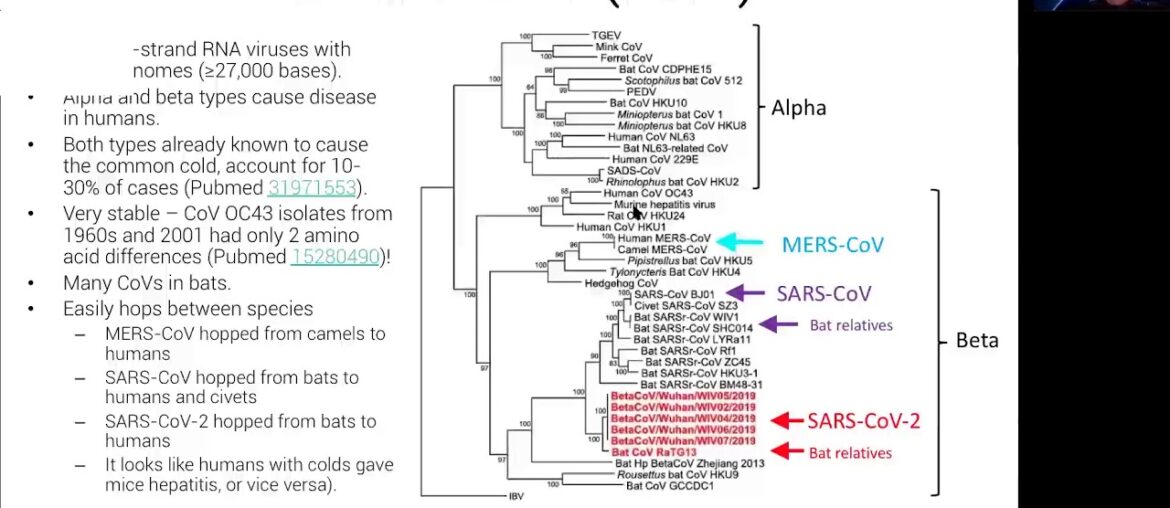 Dr. Michael Lin: "Coronavirus and COVID-19: The Basic Biology Behind the Epidemic"