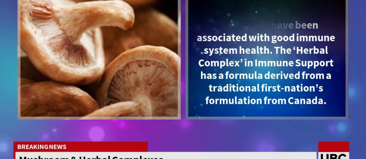 What Is Immune Support - Top 10 Habits That Damage Your Immunity - How To Boost Immunity