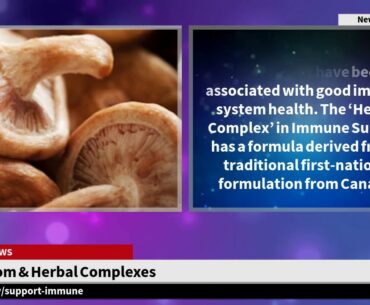 What Is Immune Support - Top 10 Habits That Damage Your Immunity - How To Boost Immunity