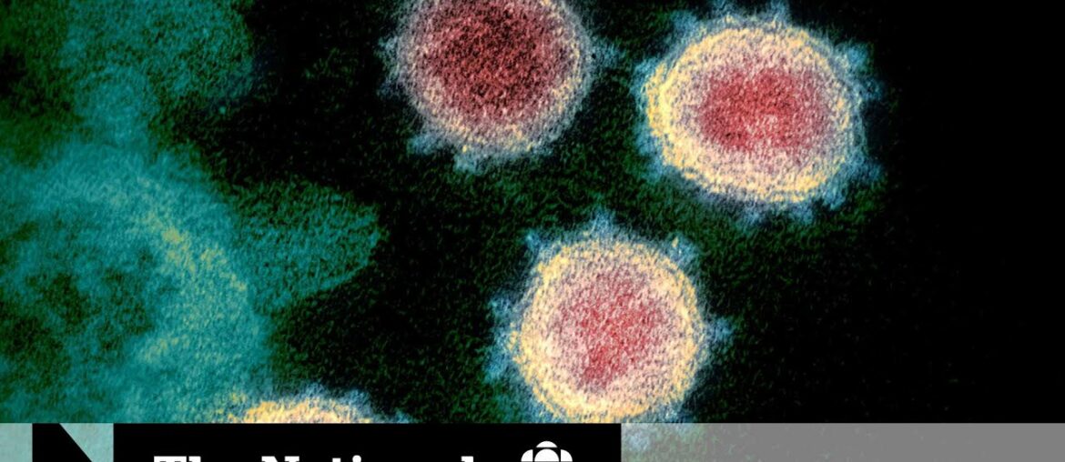 Could herd immunity to COVID-19 be as effective as a vaccine?