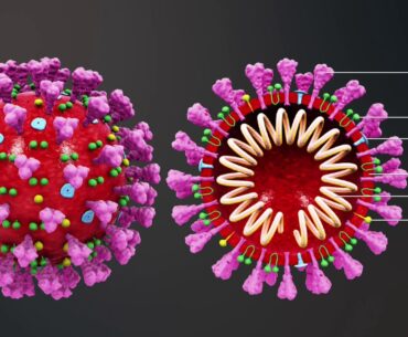 Dr. True talks about Immunity boosting Vitamins and Peptides during Coronavirus