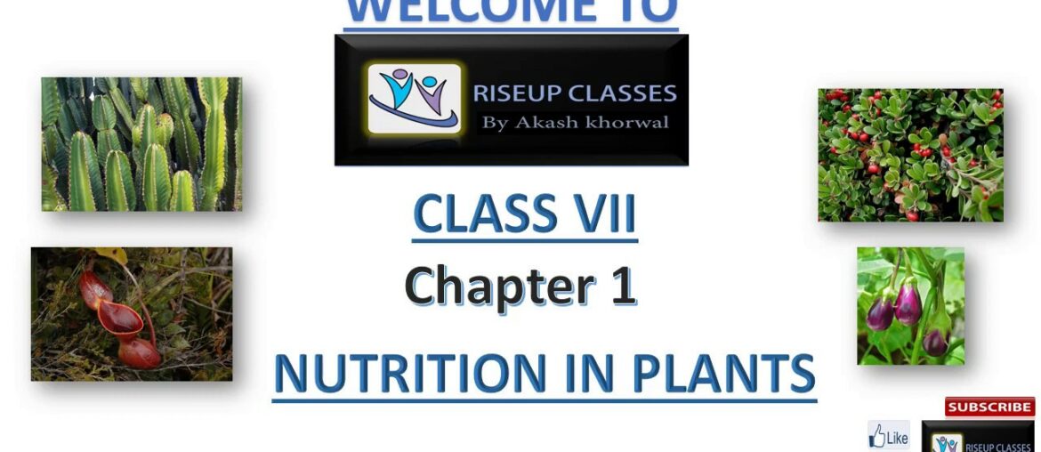 Chapter 1  - NUTRITION IN PLANTS - SCIENCE | Class 7 in Hindi explanation |   | RISEUP CLASSES |