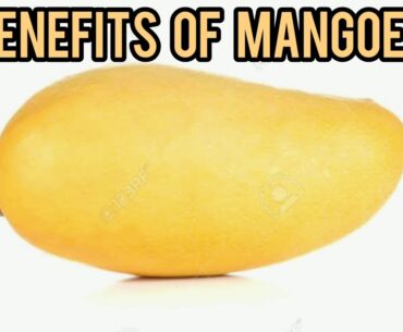 Benefits of Mangoes - The love fruit