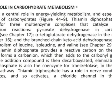 WATER SOLUBLE VITAMINS VITAMIN pptx H