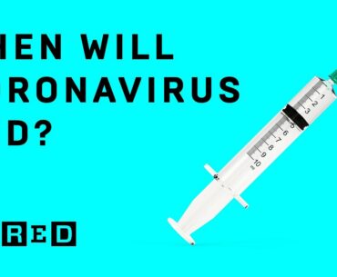 When will we get a coronavirus vaccine? | WIRED Explains